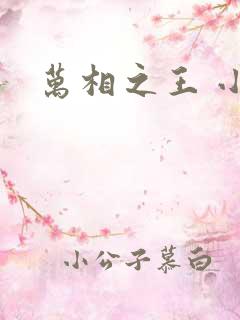 万相之王 小说
