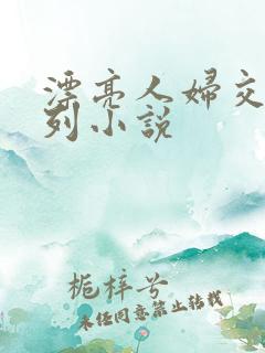 漂亮人妇交换系列小说