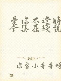爱你不逢时短剧全集在线观看