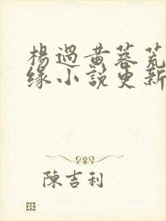 杨过黄蓉荒岛情缘小说更新时间