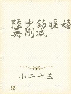 陆少的暖婚新妻无删减