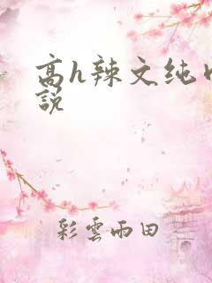 高h辣文纯肉小说