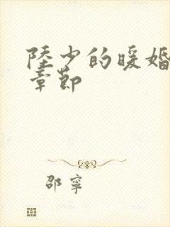 陆少的暖婚新妻章节