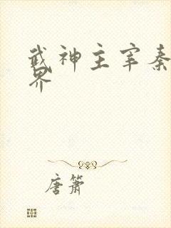 武神主宰秦尘境界
