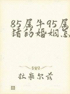85属牛95属猪的婚姻怎么样