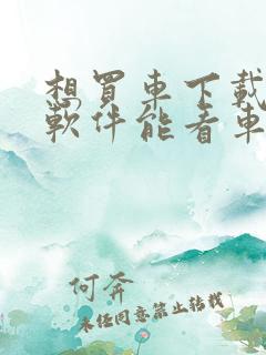 想买车下载什么软件能看车的价格