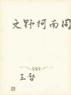 文野柯南同人文