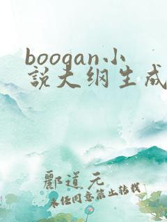 boogan小说大纲生成器破解版
