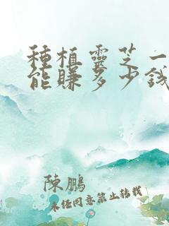种植灵芝一亩地能赚多少钱