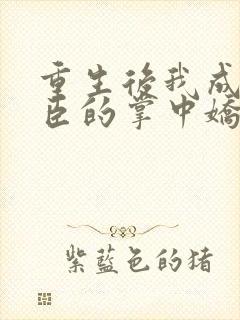 重生后我成了权臣的掌中娇怎么样