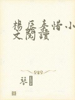 杨辰秦惜小说全文阅读