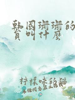 韩国珊珊的女演员叫什么