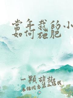 当年栽的小桃树如何施肥