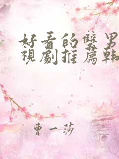 好看的双男主电视剧推荐韩剧