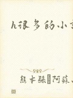 h很多的小说
