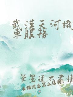 武汉天河机场租车服务