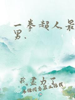 一拳超人最强之男.