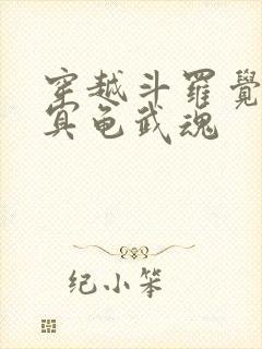 穿越斗罗觉醒玄冥龟武魂 穿越斗罗觉醒玄冥龟武魂