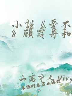 小说《爱不逢春》顾霆舟和陆桑宁