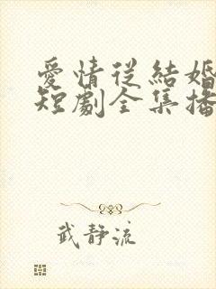 爱情从结婚开始短剧全集播放视频