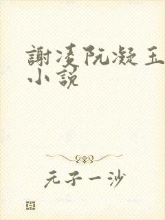 谢凌阮凝玉全文小说