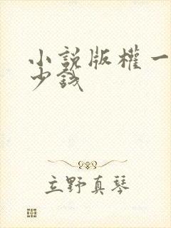 小说版权一般多少钱