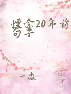 怀念20年前的句子
