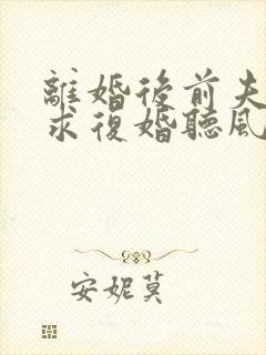 离婚后前夫哭着求复婚听风说雾正版