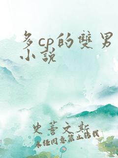 多cp的双男主小说