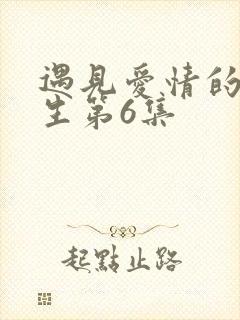 遇见爱情的利先生第6集
