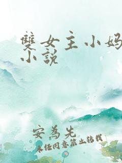 双女主小妈文学小说