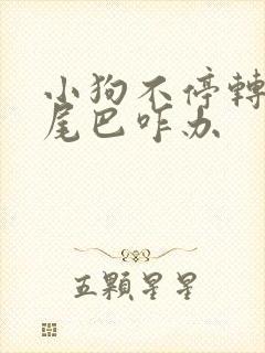 小狗不停转圈咬尾巴咋办 小狗不停转圈咬尾巴咋办
