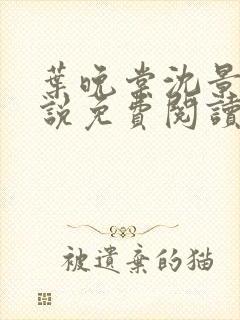 叶晚棠沈景衍小说免费阅读