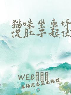猫咪坐车呼吸急促肚子起伏很快速是怎么了