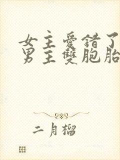 女主爱错了人,男主双胞胎的小说