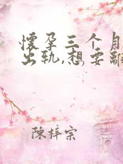 怀孕三个月老公出轨,想要离婚应该怎么办