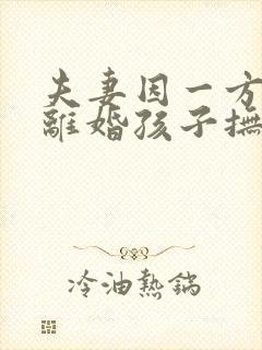 夫妻因一方出轨离婚孩子抚养权怎么判定