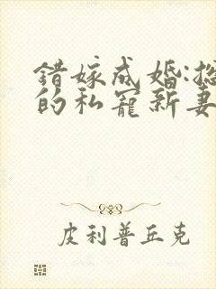错嫁成婚:总裁的私宠新妻()