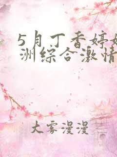 5月丁香婷婷亚洲综合激情