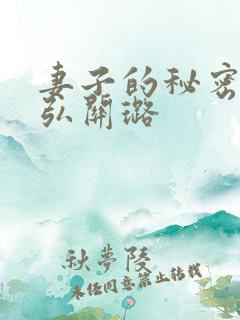 妻子的秘密乐正弘关璐