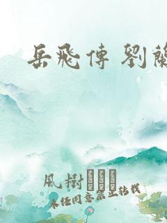 岳飞传 刘兰芳