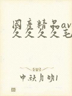 国产精品av久久久久久毛片