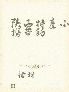 陕西特产小吃可携带的