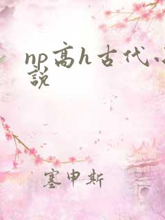 np高h古代小说
