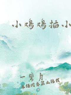 小鸡鸡插小洞洞