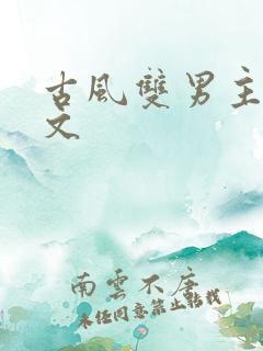 古风双男主生子文
