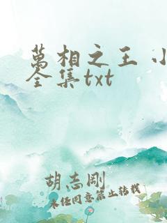万相之王 小说全集txt