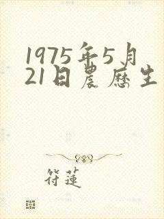 1975年5月21日农历生辰八字