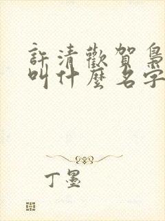 许清欢贺枭小说叫什么名字