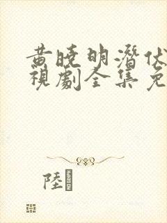 黄晓明潜伏者电视剧全集免费观看
